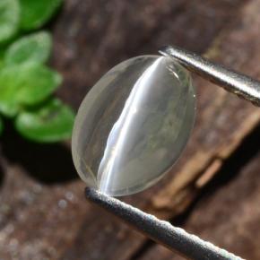 9,17 ctw natürlicher Rauch Sillimanit-Katzenauge, Oval Schliff, Transparent