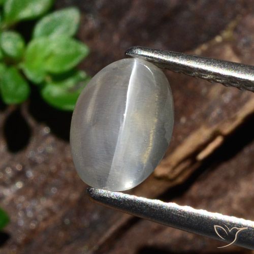 1.47ct Natürlicher Weiß Sillimanit-Katzenauge, Oval, Lichtdurchlässig