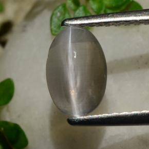 9,17 ctw natürlicher Rauch Sillimanit-Katzenauge, Oval Schliff, Transparent