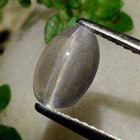 9,17 ctw natürlicher Rauch Sillimanit-Katzenauge, Oval Schliff, Transparent