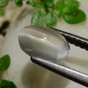 9,17 ctw natürlicher Rauch Sillimanit-Katzenauge, Oval Schliff, Transparent
