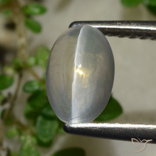 1.65ct Natürlicher Sehr helles Grau Sillimanit-Katzenauge, Oval, Transparent