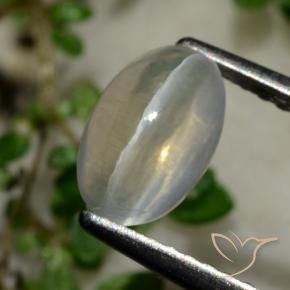 9,17 ctw natürlicher Sehr helles Grau Sillimanit-Katzenauge, Oval, Transparent