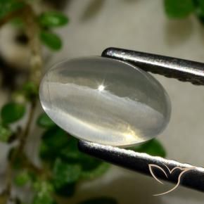 9,17 ctw natürlicher Sehr helles Grau Sillimanit-Katzenauge, Oval, Transparent