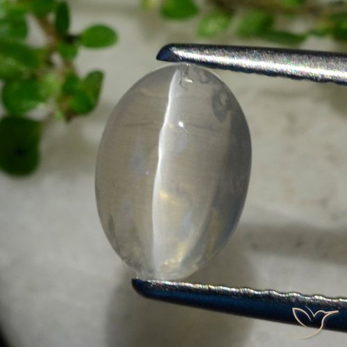 1.40ct Natürlicher Sehr helles Grau Sillimanit-Katzenauge, Oval, Transparent