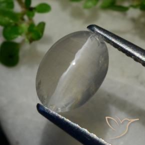 9,17 ctw natürlicher Sehr helles Grau Sillimanit-Katzenauge, Oval, Transparent