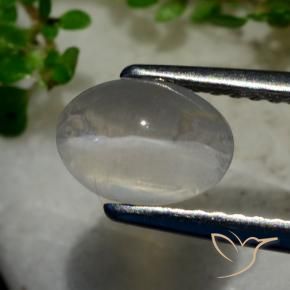 9,17 ctw natürlicher Sehr helles Grau Sillimanit-Katzenauge, Oval, Transparent