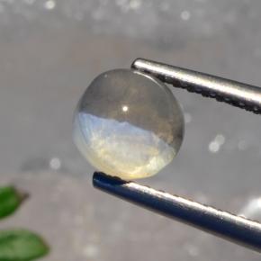 1,56 ctw natürlicher grauer Sillimanite Cat's Eye, Rundschliff, Lichtdurchlässig