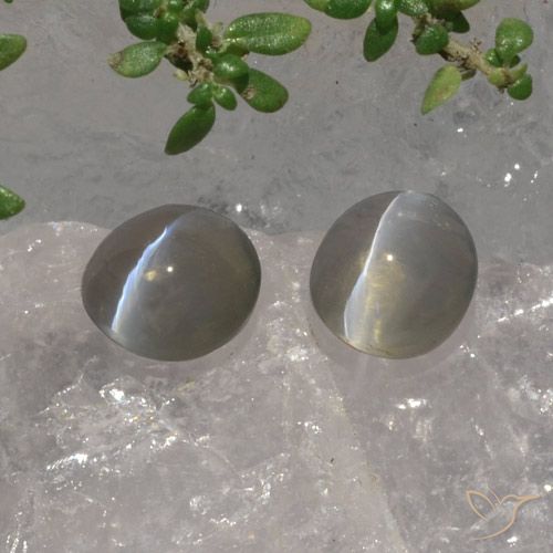 3.07ctw Natürlicher Sehr helles Grau Sillimanit-Katzenauge, Oval, Lichtdurchlässig