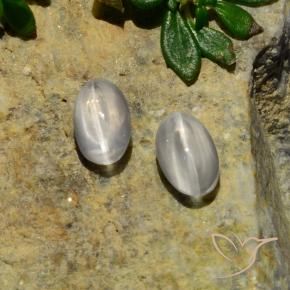1.37 ct natürliche Weiß Sillimanit-Katzenauge-Edelsteine, Oval, Lichtdurchlässig
