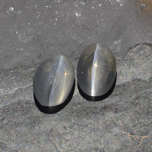 1.97ctw Natürlicher Sehr helles Grau Sillimanit-Katzenauge, Oval, Lichtdurchlässig