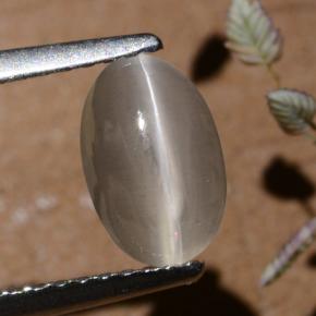 9,17 ctw natürlicher Rauch Sillimanit-Katzenauge, Oval Schliff, Lichtdurchlässig