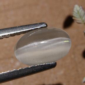 9,17 ctw natürlicher Rauch Sillimanit-Katzenauge, Oval Schliff, Lichtdurchlässig