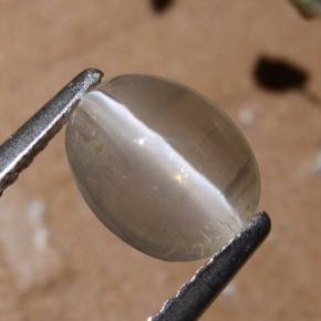 9,17 ctw natürlicher Rauch Sillimanit-Katzenauge, Oval Schliff, Lichtdurchlässig