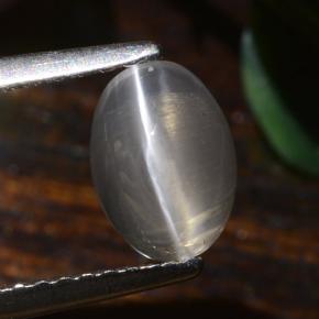 9,17 ctw natürlicher Sehr helles Grau Sillimanit-Katzenauge, Oval Schliff, Lichtdurchlässig