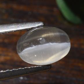 9,17 ctw natürlicher Sehr helles Grau Sillimanit-Katzenauge, Oval Schliff, Lichtdurchlässig