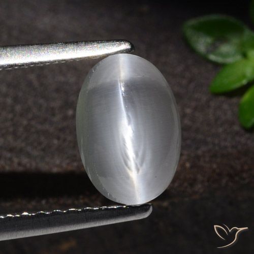 1.51ct Natürlicher Weiß Sillimanit-Katzenauge, Oval, Transparent