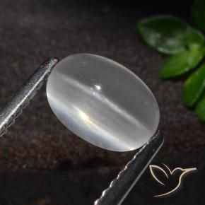 9,17 ctw natürlicher Weiß Sillimanit-Katzenauge, Oval, Transparent