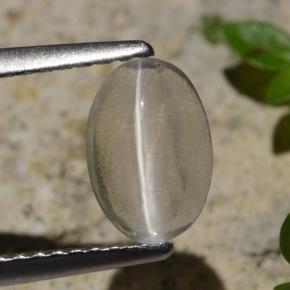9,17 ctw natürlicher Rauch Sillimanit-Katzenauge, Oval Schliff, Transparent