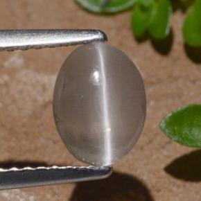 9,17 ctw natürlicher Rauch Sillimanit-Katzenauge, Oval Schliff, Transparent