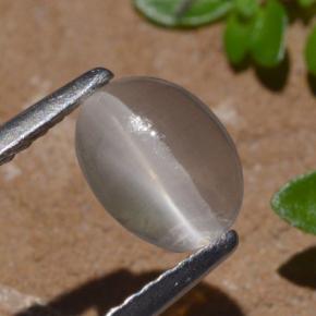 9,17 ctw natürlicher Rauch Sillimanit-Katzenauge, Oval Schliff, Transparent