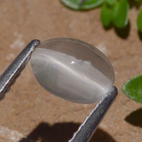 9,17 ctw natürlicher Rauch Sillimanit-Katzenauge, Oval Schliff, Transparent