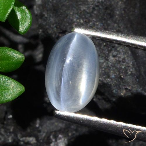 1.70ct Natürlicher klar Sillimanit-Katzenauge, Oval, Transparent