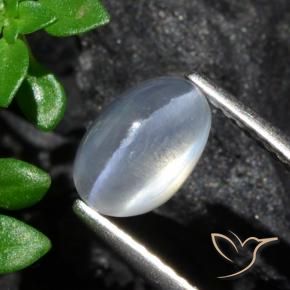 9,17 ctw natürlicher klar Sillimanit-Katzenauge, Oval, Transparent