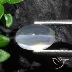 9,17 ctw natürlicher klar Sillimanit-Katzenauge, Oval, Transparent