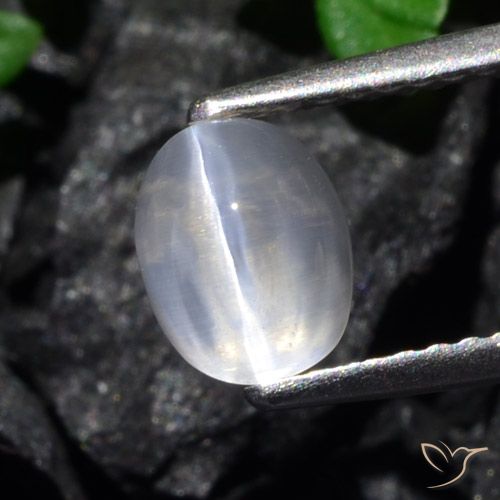 1.61ct Natürlicher klar Sillimanit-Katzenauge, Oval, Transparent