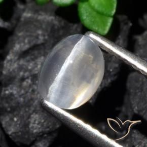 9,17 ctw natürlicher klar Sillimanit-Katzenauge, Oval, Transparent