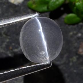 1,03 ctw natürlicher grauer Sillimanite Cat's Eye, Oval Schliff, Transparent