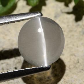 9,17 ctw natürlicher Rauch Sillimanit-Katzenauge, Rund Schliff, Transparent