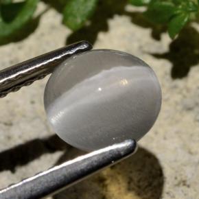 9,17 ctw natürlicher Rauch Sillimanit-Katzenauge, Rund Schliff, Transparent