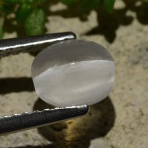 9,17 ctw natürlicher Rauch Sillimanit-Katzenauge, Oval Schliff, Transparent