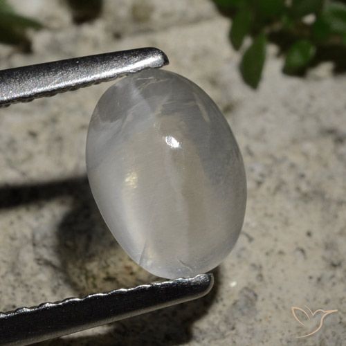 1.44ct Natürlicher Klares Weiß Sillimanit-Katzenauge, Oval, Transparent