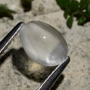 9,17 ctw natürlicher Klares Weiß Sillimanit-Katzenauge, Oval, Transparent
