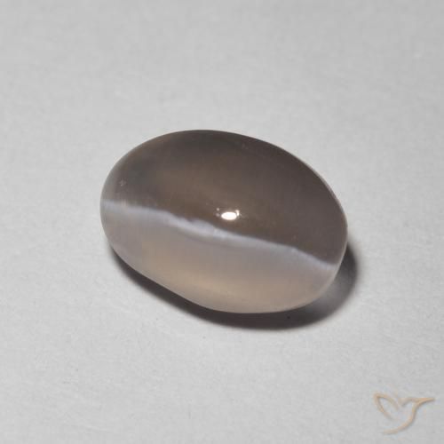 9,17 ctw natürlicher Sehr helles Grau Sillimanit-Katzenauge, Oval, Transparent