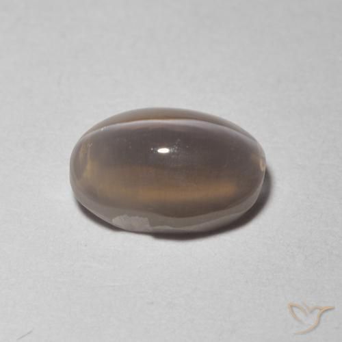 9,17 ctw natürlicher Sehr helles Grau Sillimanit-Katzenauge, Oval, Transparent