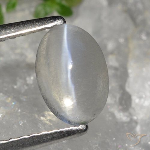 1.49ct Natürlicher Sehr helles Grau Sillimanit-Katzenauge, Oval, Transparent