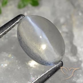 9,17 ctw natürlicher Sehr helles Grau Sillimanit-Katzenauge, Oval, Transparent