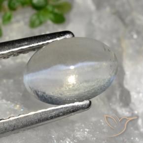 9,17 ctw natürlicher Sehr helles Grau Sillimanit-Katzenauge, Oval, Transparent