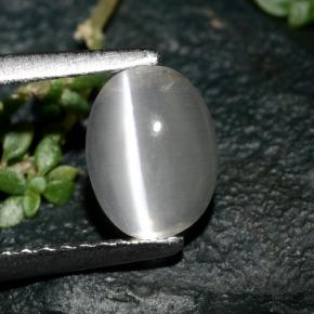 1,39 ctw natürlicher grauer Sillimanite Cat's Eye, Oval Schliff, Transparent