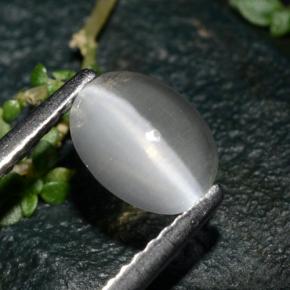 1,39 ctw natürlicher grauer Sillimanite Cat's Eye, Oval Schliff, Transparent
