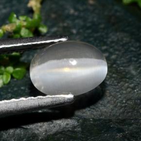 1,39 ctw natürlicher grauer Sillimanite Cat's Eye, Oval Schliff, Transparent