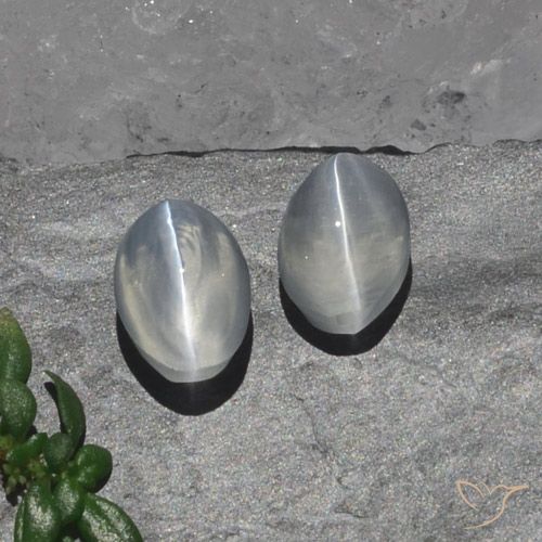 2.15ctw Natürlicher Klares Weiß Sillimanit-Katzenauge, Oval, Transparent