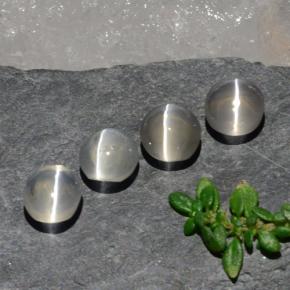 3,82 ct natürliche weißer Sillimanite Cat's Eye-Edelsteine, Oval Schliff, Transparent