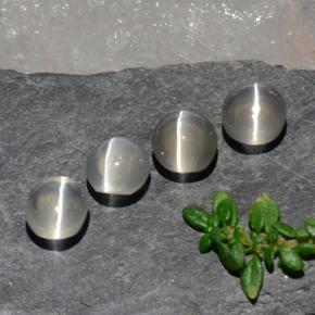 3,82 ct natürliche weißer Sillimanite Cat's Eye-Edelsteine, Oval Schliff, Transparent