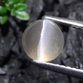 1,74 ctw natürlicher grauer Sillimanite Cat's Eye, Rundschliff, Lichtdurchlässig
