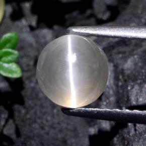 1,74 ctw natürlicher grauer Sillimanite Cat's Eye, Rundschliff, Lichtdurchlässig